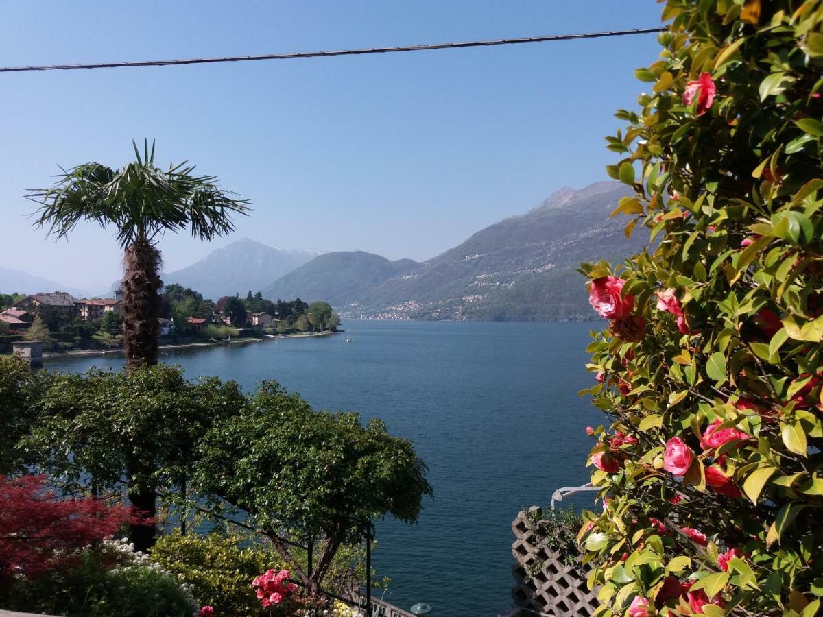 Villa Plinio Lago Di Como Дервио Екстериор снимка